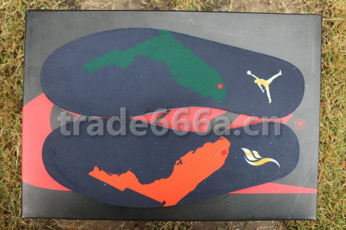 Authentic Solyfly x Air Jordan 1