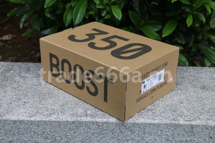 Authentic Yeezy Boost 350 V2 “ANTLIA”