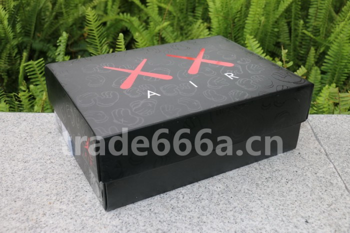 Authentic Kaws x Air Jordan 4 “Cool Grey”