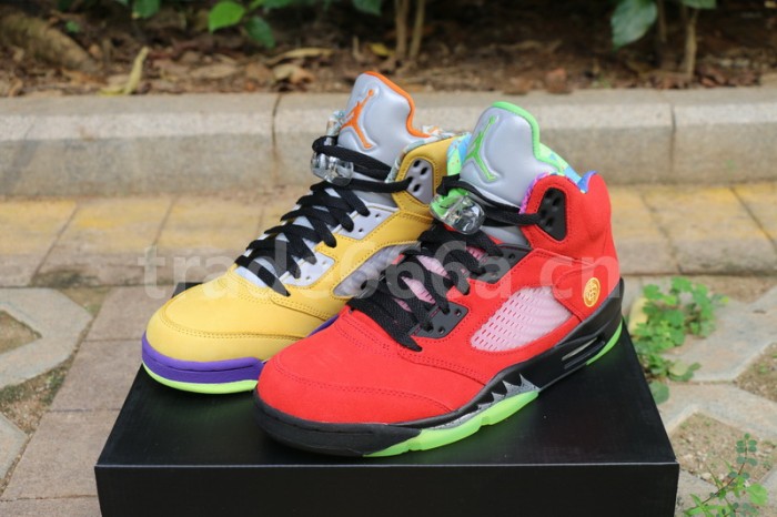 Authentic Air Jordan 5 “What The”