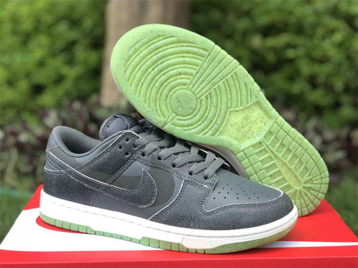 Authentic Nike Dunk Low “Iron Grey”