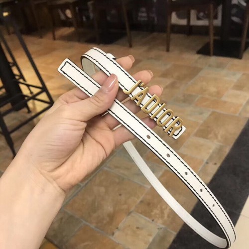 Super Perfect Quality Dior Belts(100% Genuine Leather,steel Buckle)-925