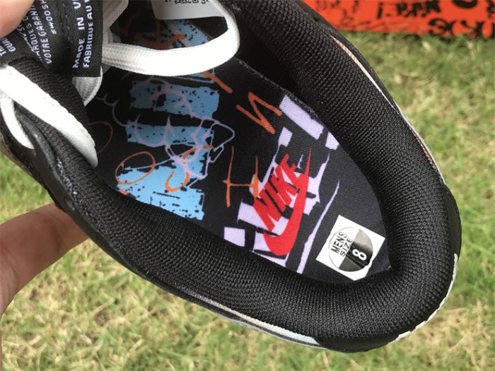 Authentic Nike Dunk Low PRM DM0108-001