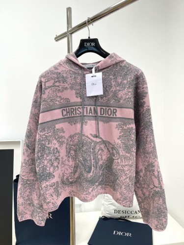 Dior Hoodies High End Quality-149