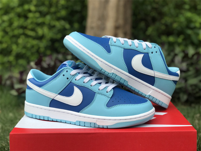 Authentic Nike Dunk Low “Argon”