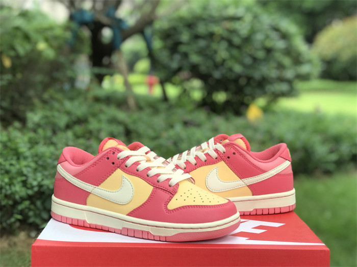 Authentic Nike Dunk Low DH9765-200