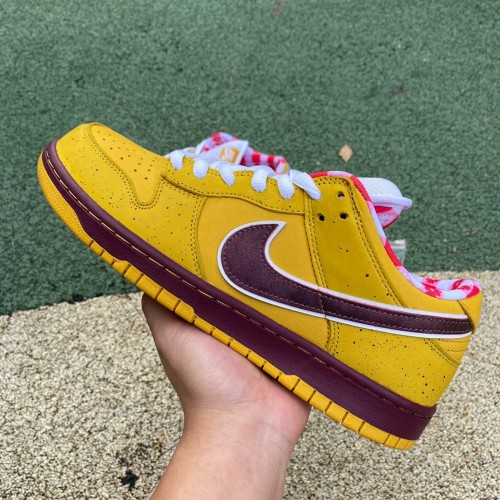 Authentic Nike Dunk SB Concepts Yellow Lobster