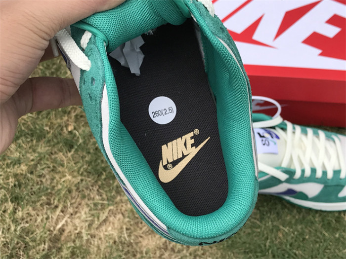 Authentic Nike Dunk Low SE “85”