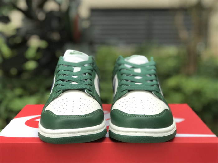 Authentic Nike Dunk Low DD1503-300