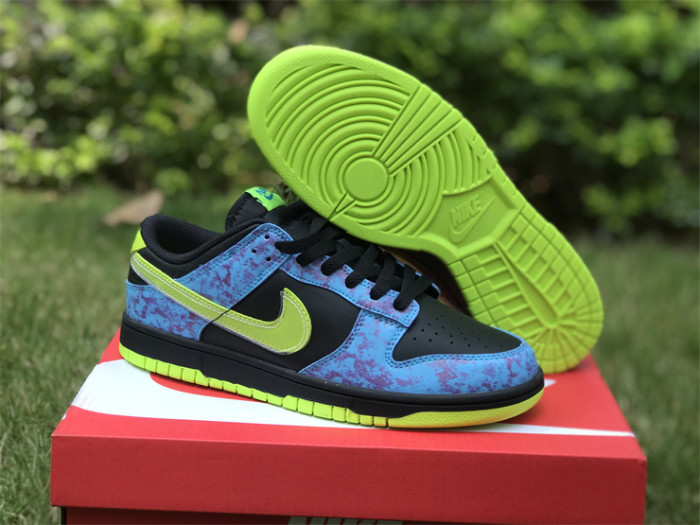 Authentic Nike Dunk Low “Acid Wash”