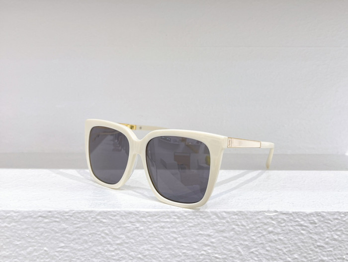 YL Sunglasses AAAA-554