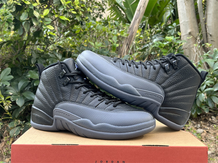 Authentic Air Jordan 12 Black Wolf Grey”