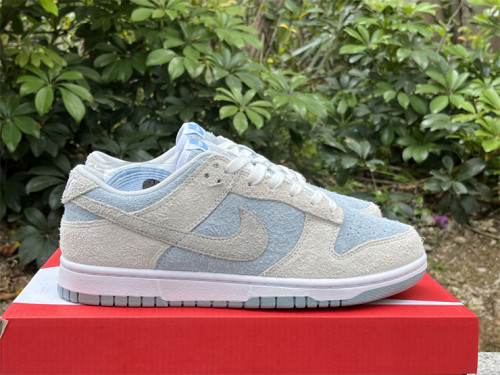 Authentic Nike Dunk Light Armory Blue