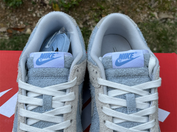 Authentic Nike Dunk Light Armory Blue