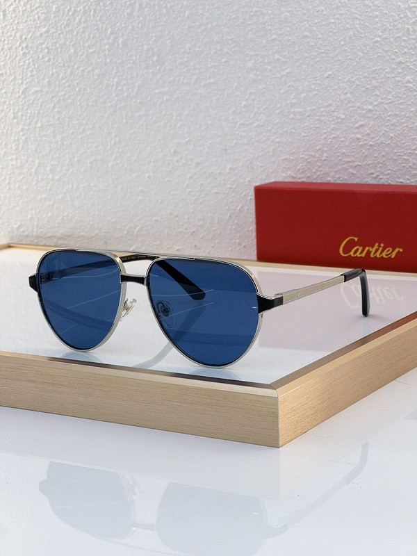 Cartier Sunglasses AAAA-5458