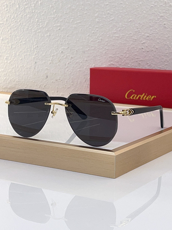 Cartier Sunglasses AAAA-5584