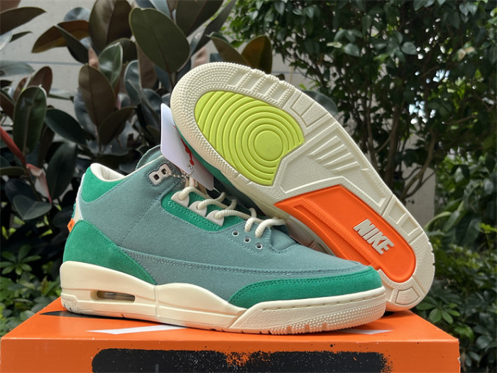 Authentic Nina Chanel Abney x Air Jordan 3