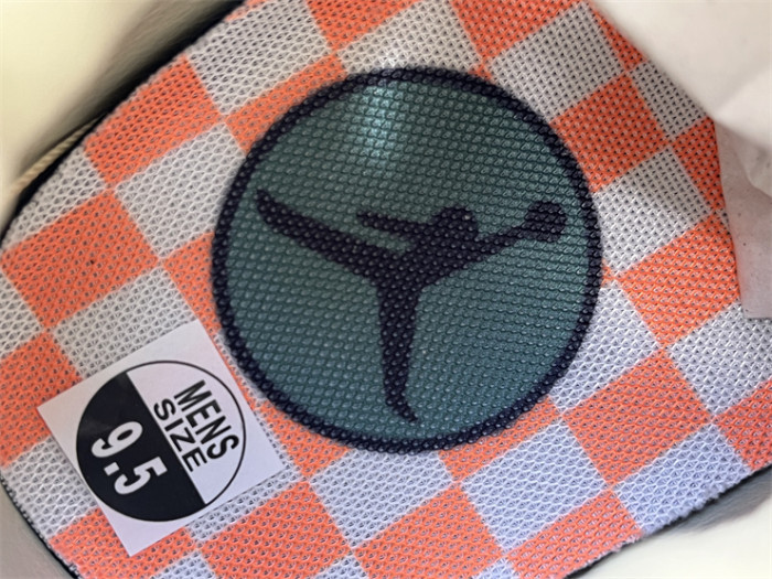 Authentic Nina Chanel Abney x Air Jordan 3