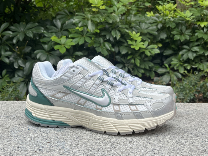 Authentic Nike P-6000 Shoes-001