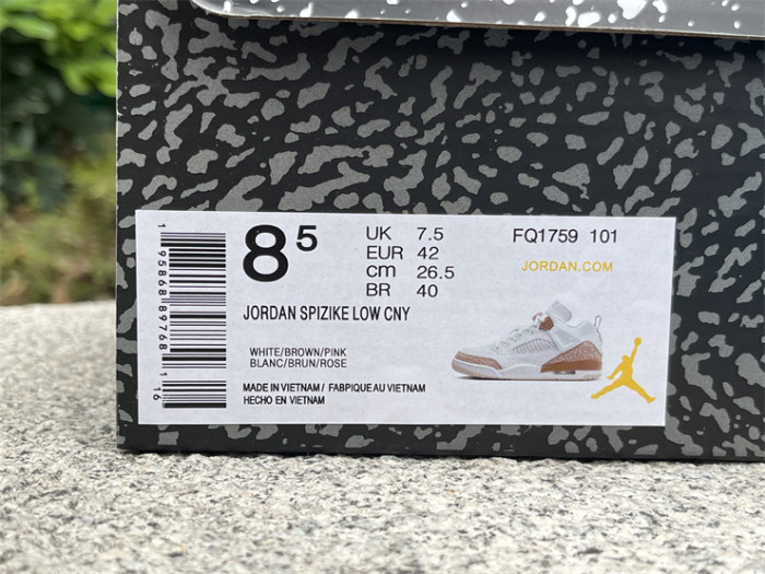 Authentic The Jordan Spizike Low “Neapolitan”