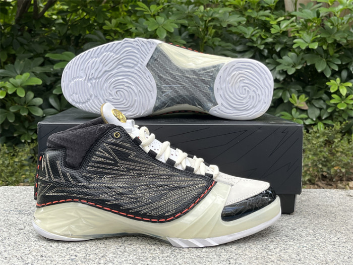 Authentic Titan x Air Jordan 23 Retro SP 10th Anniversary