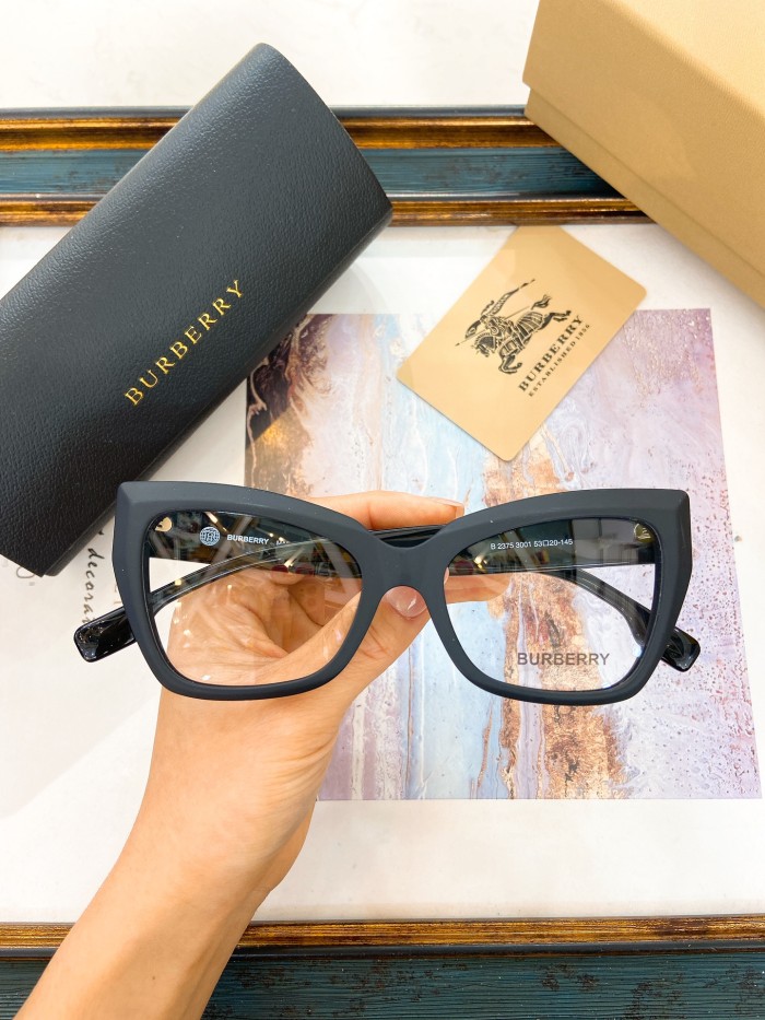 Burberry Sunglasses AAAA-2912