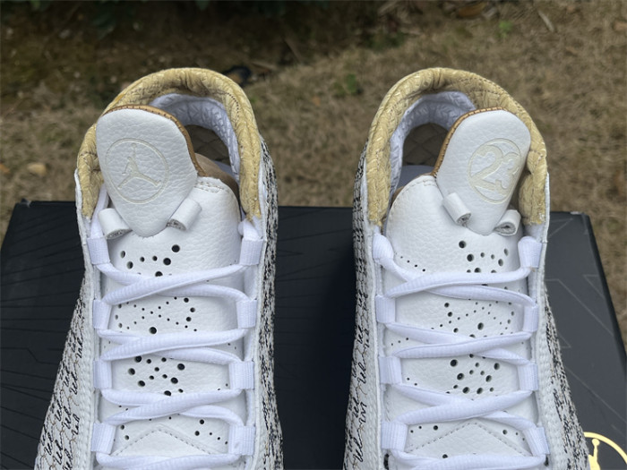 Authentic Trophy Room x Air Jordan 23 Retro White