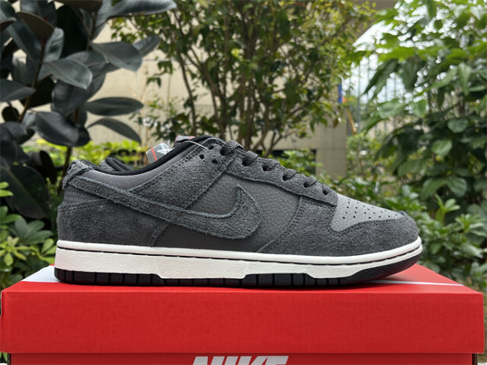 Authentic Nike Dunk Low Retro PRM  Off Noir