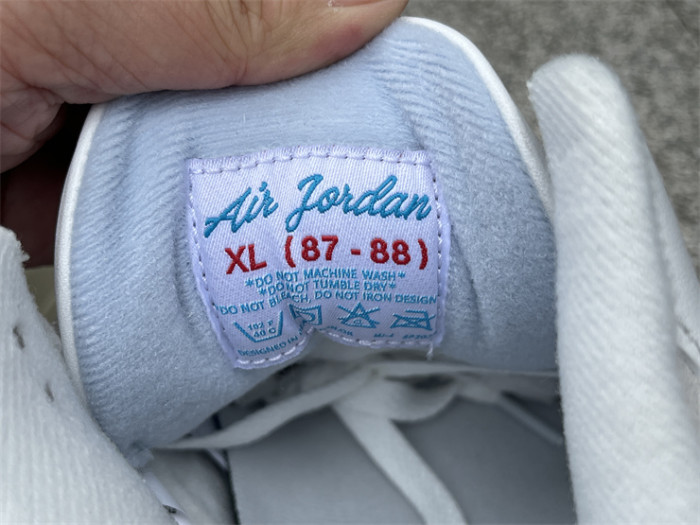 Authentic Air Jordan 3 Lucky Shorts