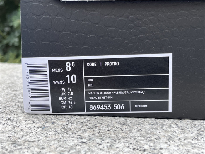 Nike Kobe 3 Protro Royal Pulse