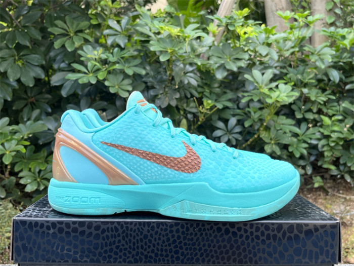 Authentic Jalen Brunson's Nike Kobe 6  Statue of Liberty  PE