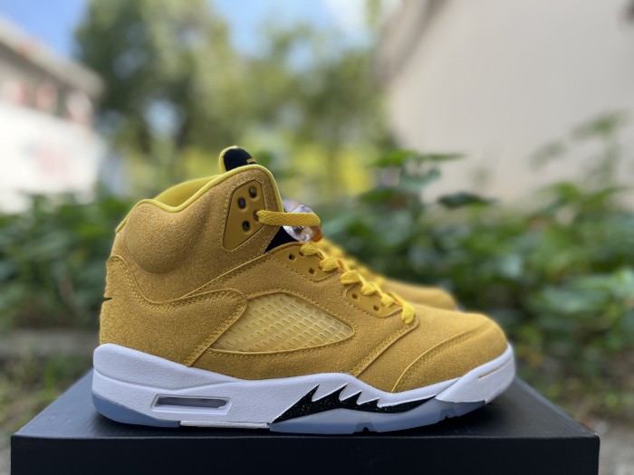 Authentic Air Jordan 5 “Michigan” PE