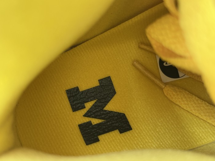 Authentic Air Jordan 5 “Michigan” PE