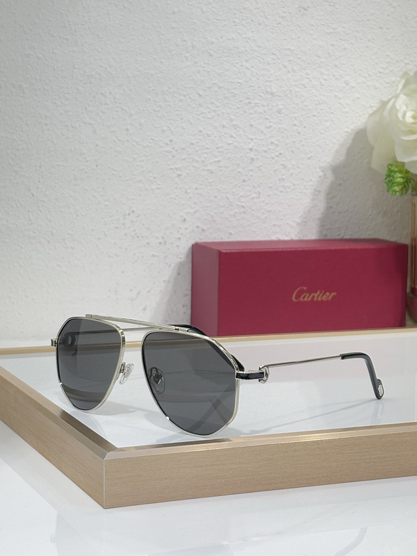 Cartier Sunglasses AAAA-9869