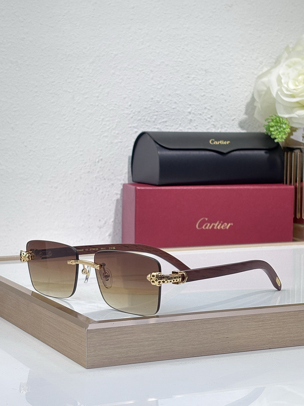 Cartier Sunglasses AAAA-10368