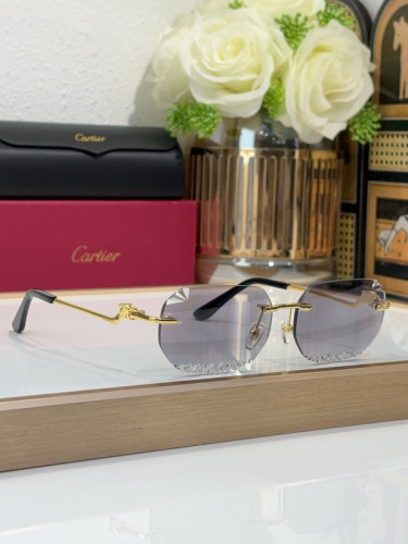 Cartier Sunglasses AAAA-10978