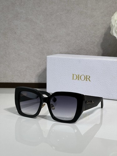 Dior Sunglasses AAAA-4613