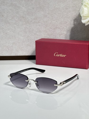 Cartier Sunglasses AAAA-12101