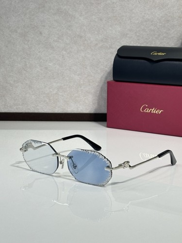 Cartier Sunglasses AAAA-11640