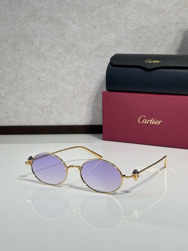 Cartier Sunglasses AAAA-11868