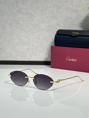 Cartier Sunglasses AAAA-11765