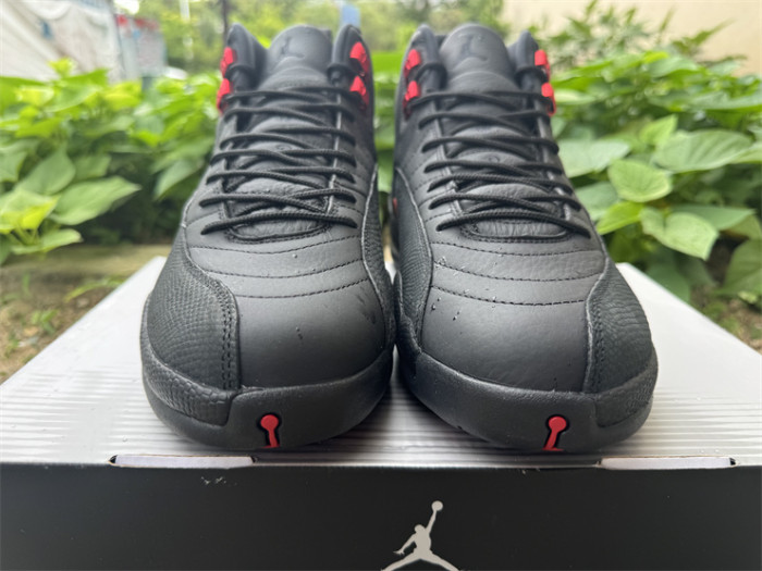 Authentic Air Jordan 12 Retro Bloodline