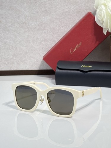 Cartier Sunglasses AAAA-12980