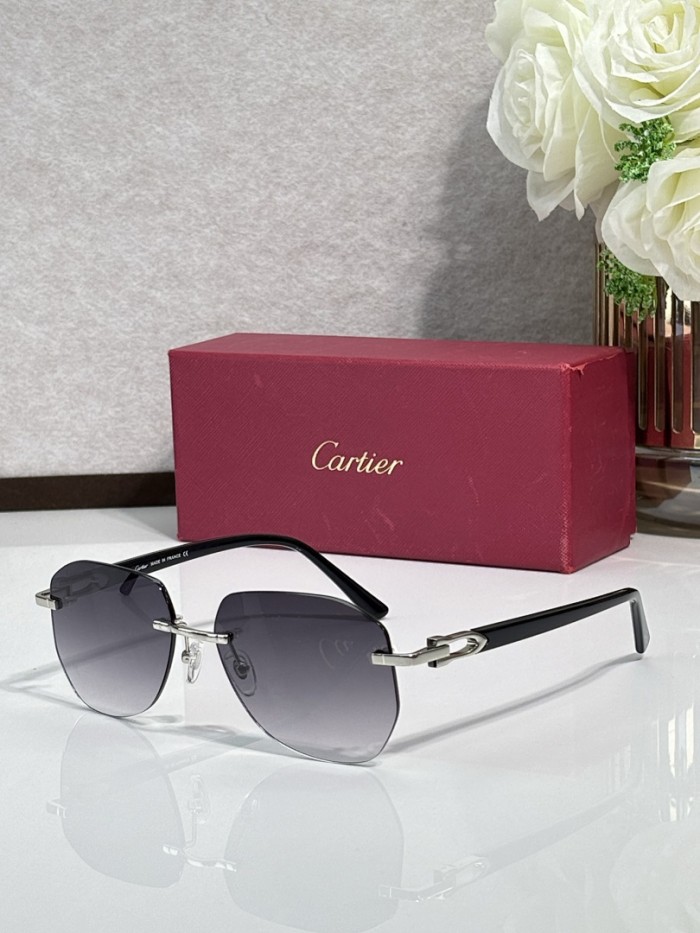 Cartier Sunglasses AAAA-13225