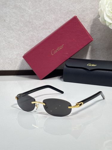 Cartier Sunglasses AAAA-12873