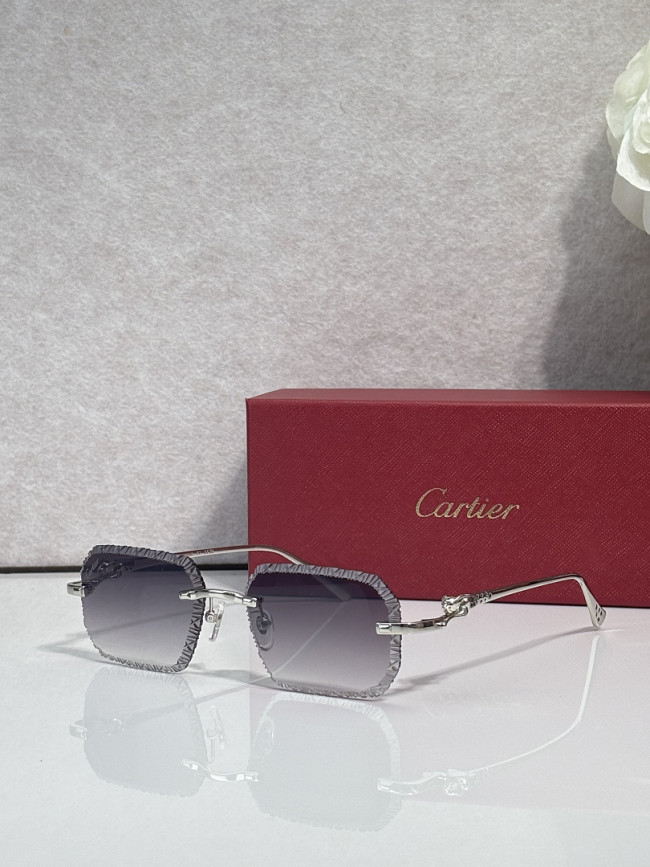 Cartier Sunglasses AAAA-14425