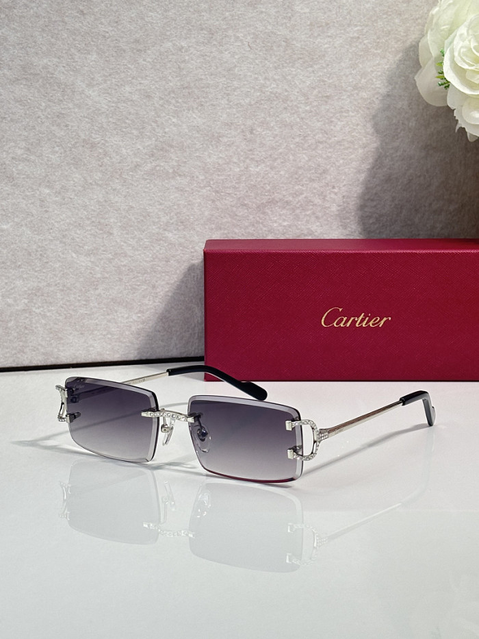 Cartier Sunglasses AAAA-14617