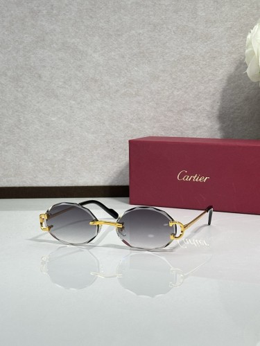 Cartier Sunglasses AAAA-14256