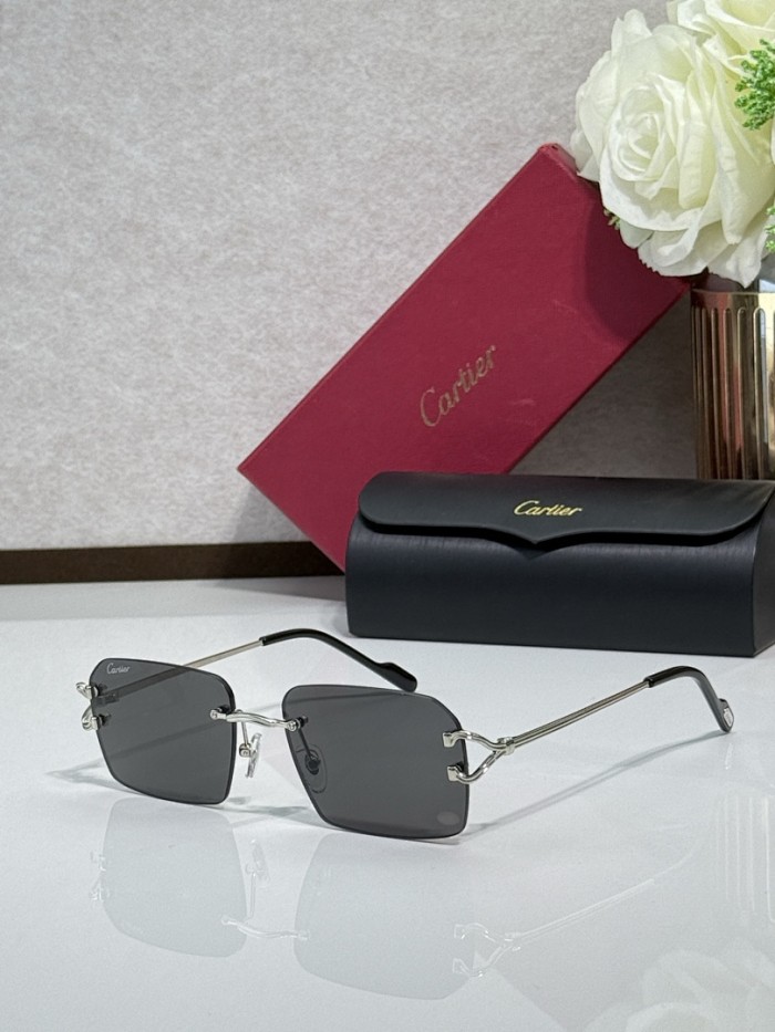 Cartier Sunglasses AAAA-13120