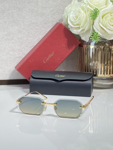 Cartier Sunglasses AAAA-14327